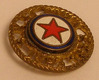 Annual badge, enamel ,SK SLAVIA, 1893-1933